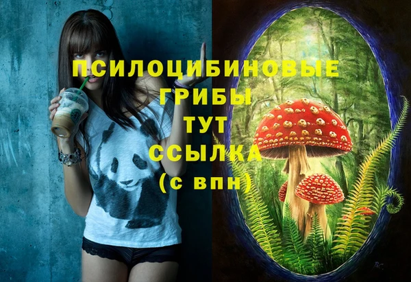 прущая мука Гусев